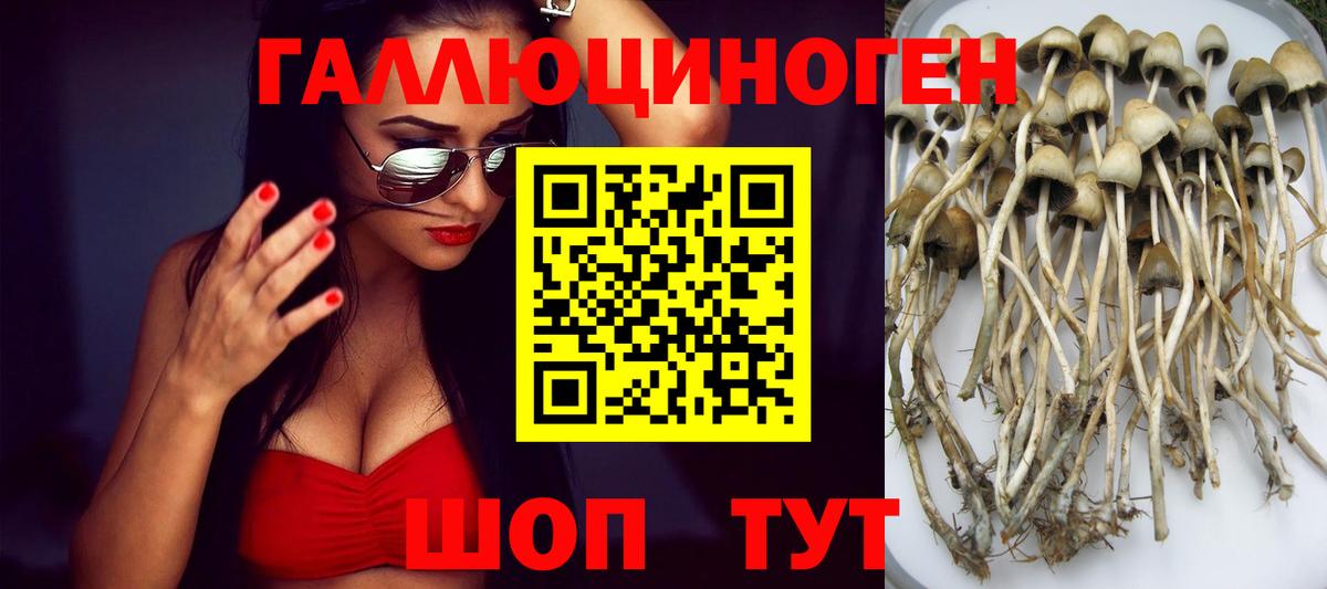 сколько стоит  Псилоцибиновые грибы ЛСД  Псилоцибиновые грибы GOLDEN TEACHER  Вход с VPN  Ленинск-Кузнецкий 
